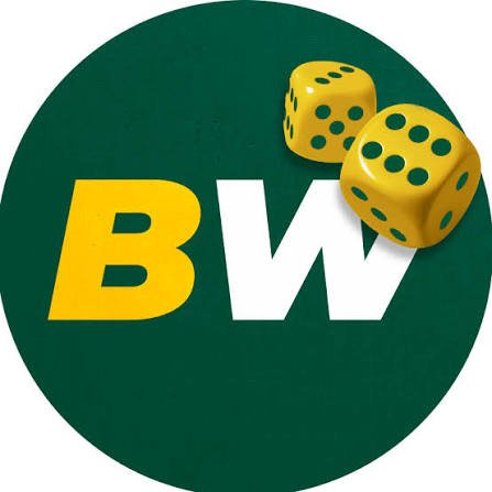 All You Need to Know About BetWinner Casino