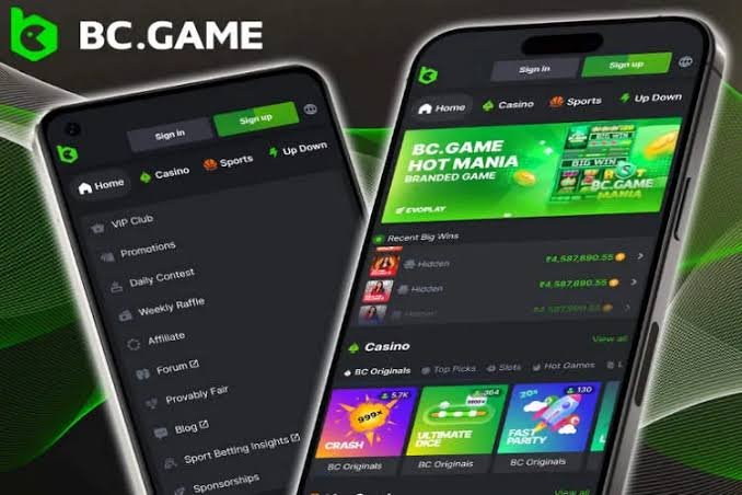Experience the Thrill at Official Online Casino BC.Game 935156536